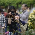 ［6］一眼レフカメラを持った、カメラ女子