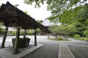 ［6］妙本寺の境内