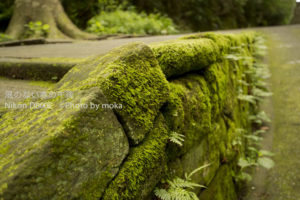 ［6］鎌倉 妙本寺