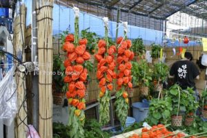 ［6］浅草、ほおずき市