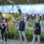 ［6］ほおずき市の雰囲気