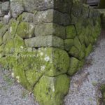 ［6］苔の生すまで