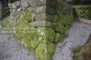 ［6］苔の生すまで