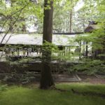 ［6］諏訪神社の美しさを作り上げる光と影