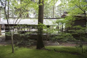 ［6］諏訪神社の美しさを作り上げる光と影