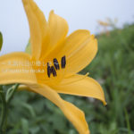 ［6］ビーナスラインといえば、