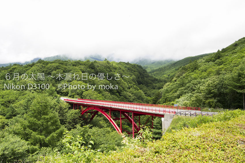 ［6］新緑と真紅の橋