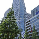 ［6］真夏の新宿