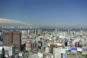 ［6］地上２８階から