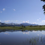 ［6］今年の休暇