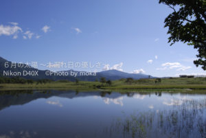 ［6］今年の休暇