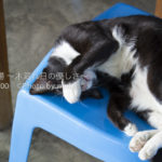 ［6］残暑きびしい。。。