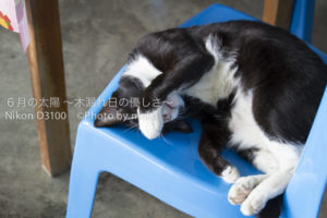 ［6］残暑きびしい。。。