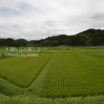 ［6］2012年、夏！！