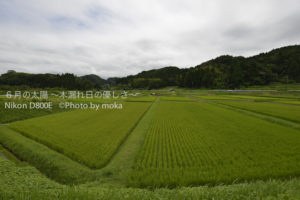 ［6］2012年、夏！！