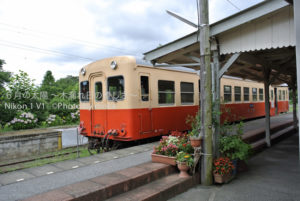 ［6］夏の養老渓谷