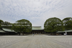 ［6］明治神宮の境内