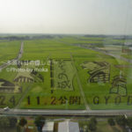 ［6］田んぼアート