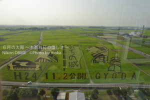 ［6］田んぼアート