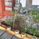 ［6］少し変わった目線で！！