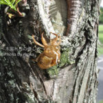 ［6］真夏の昼下がり