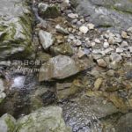 ［6］澄んだ川の水