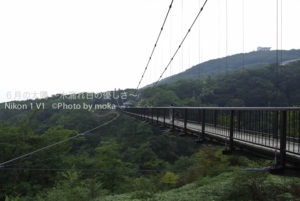 ［6］意外と揺れる吊り橋