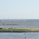 ［6］海辺の公園を散歩