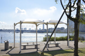 ［6］眩しい日差し