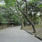 ［6］暑さの避難所