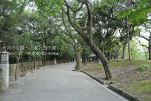 ［6］暑さの避難所