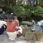 ［6］お参りの順序