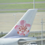 ［6］おかえりなさい！