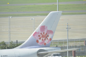 ［6］おかえりなさい！