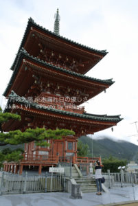 ［6］聳え立つ、西光寺の三重塔