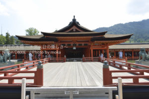 ［6］美しき、厳島神社
