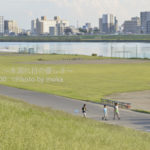 ［6］おうちに帰ろう