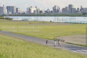 ［6］おうちに帰ろう