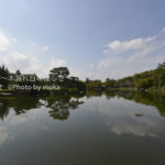 ［6］静寂に包まれた日本庭園