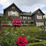 ［6］洋館と秋の薔薇