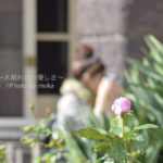 ［6］洋館と秋の薔薇とカメラ女子