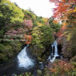 ［6］日光の紅葉