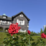 ［6］2012年 秋バラ　〜第一弾〜