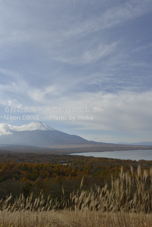 20121108_Mt.Fuji12
