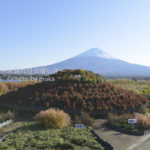 ［6］河口湖大石公園からの眺め
