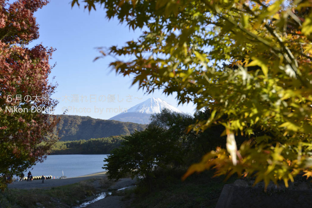 ［6］色づく紅葉と富士山