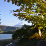 ［6］色づく紅葉と富士山