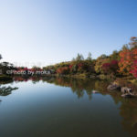 ［6］美しき庭園