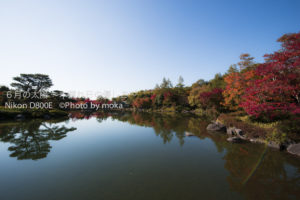 ［6］美しき庭園