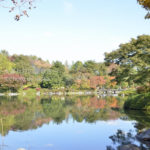 ［6］紅葉で賑わう日本庭園